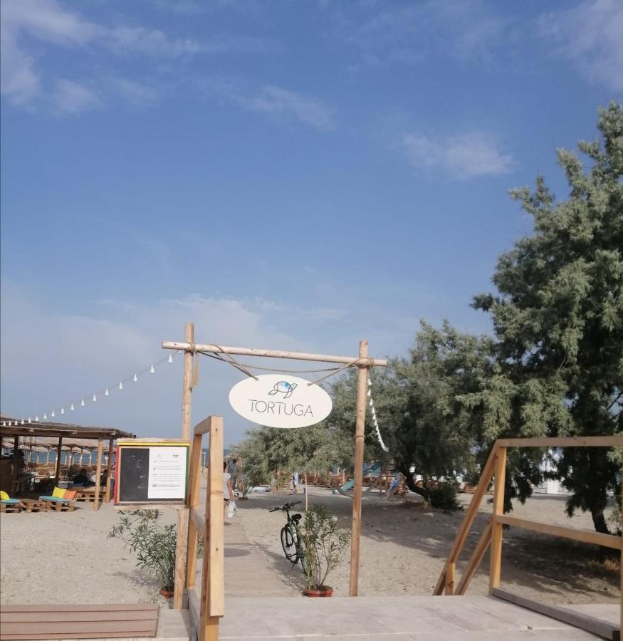 Năvodari Nemo Apartment מראה חיצוני תמונה